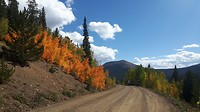 Herfstkleuren in Colorado