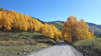 Herfst in Colorado