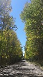 Aspen Alley