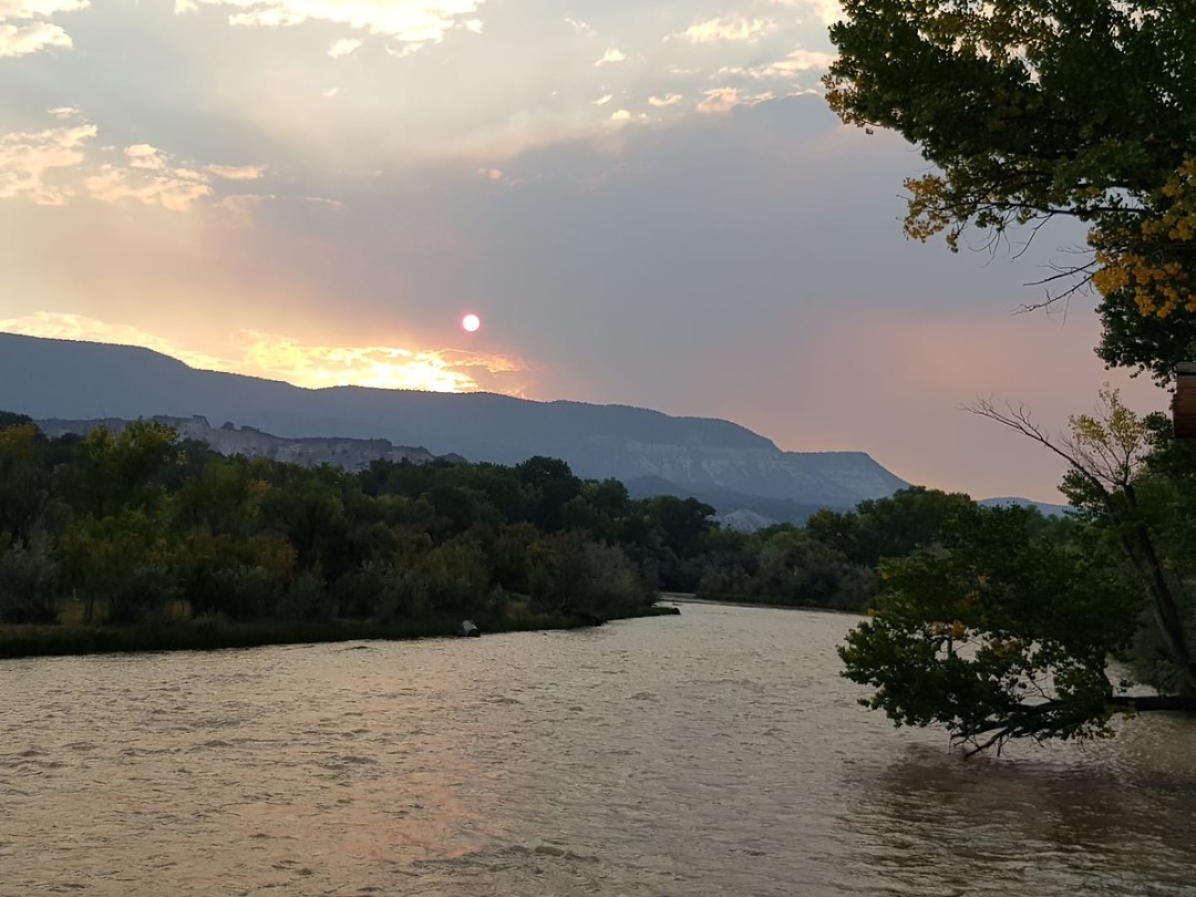 IMG-20180922-WA0005