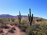 IMG-20180928-WA0013