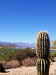IMG-20180928-WA0011