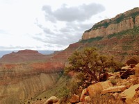 IMG-20181001-WA0009