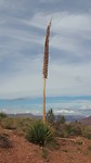 20181001_094542