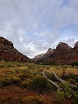 IMG-20181007-WA0001