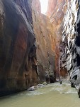 IMG-20181008-WA0014