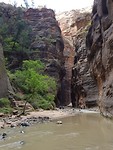 IMG-20181008-WA0010