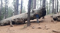 20181011_160051