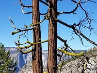 IMG-20181014-WA0021