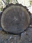 IMG-20181014-WA0019
