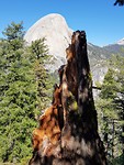 IMG-20181014-WA0016
