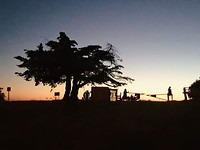 IMG-20181020-WA0023