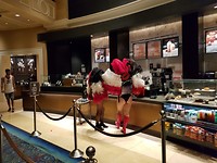 IMG-20181024-WA0064