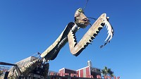 20181025_092821