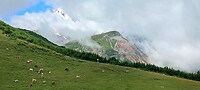 20230804_112817