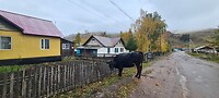 IMG-20230930-WA0011