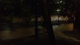 het regenseizoen