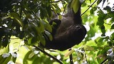 PAN_2694