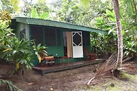 11.vanuit de mangroven fotootje