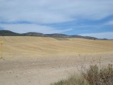DSC09760