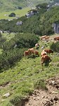 VID_20190724_154712