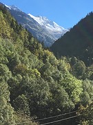 IMG_8832