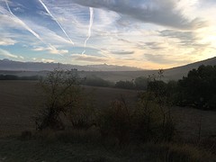 IMG_8910