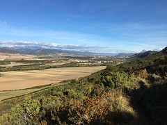 IMG_8893