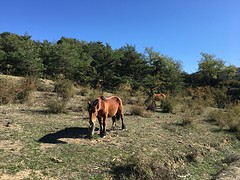 IMG_8992