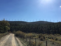 IMG_8993