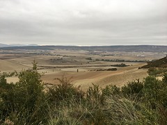 IMG_9005
