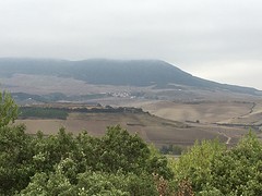IMG_9006