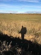 IMG_9597