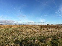 IMG_9596