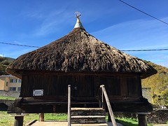 IMG_9806