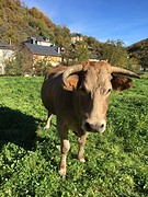 IMG_9807