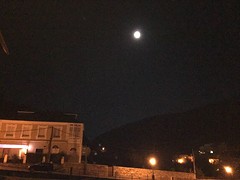 IMG_9830