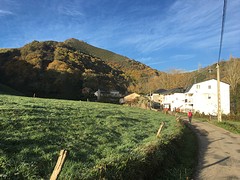 IMG_9841