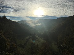 IMG_9843