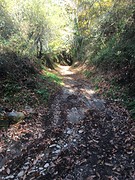 IMG_9844