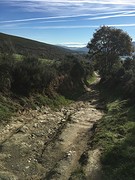 IMG_9853