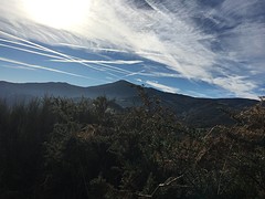 IMG_9854