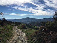 IMG_9867