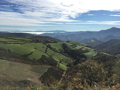 IMG_9872