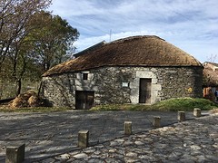 IMG_9877