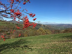 IMG_9885