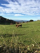 IMG_9894