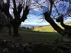 IMG_9896