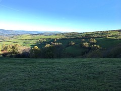 IMG_9912