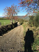 IMG_9915